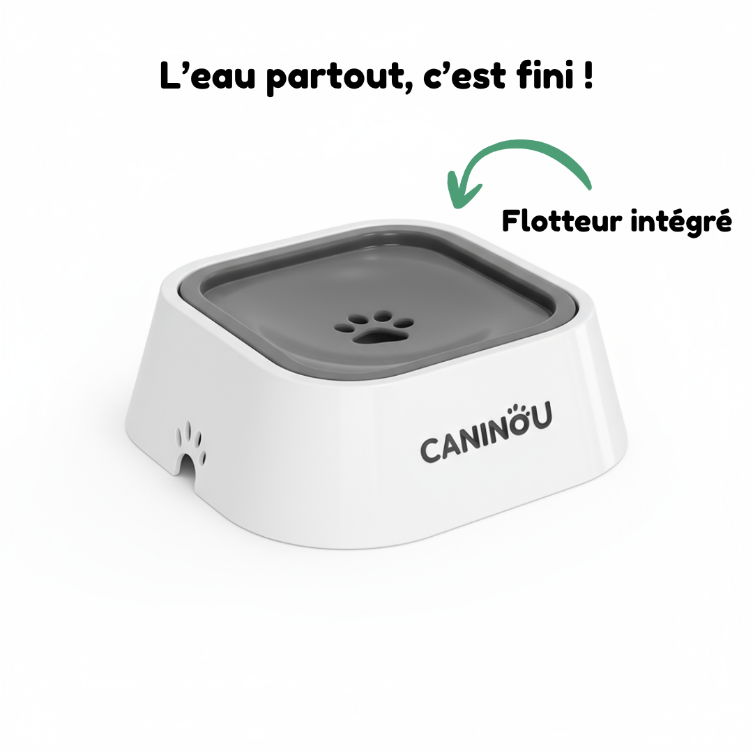 Gamelle d'eau anti-débordement pour chien