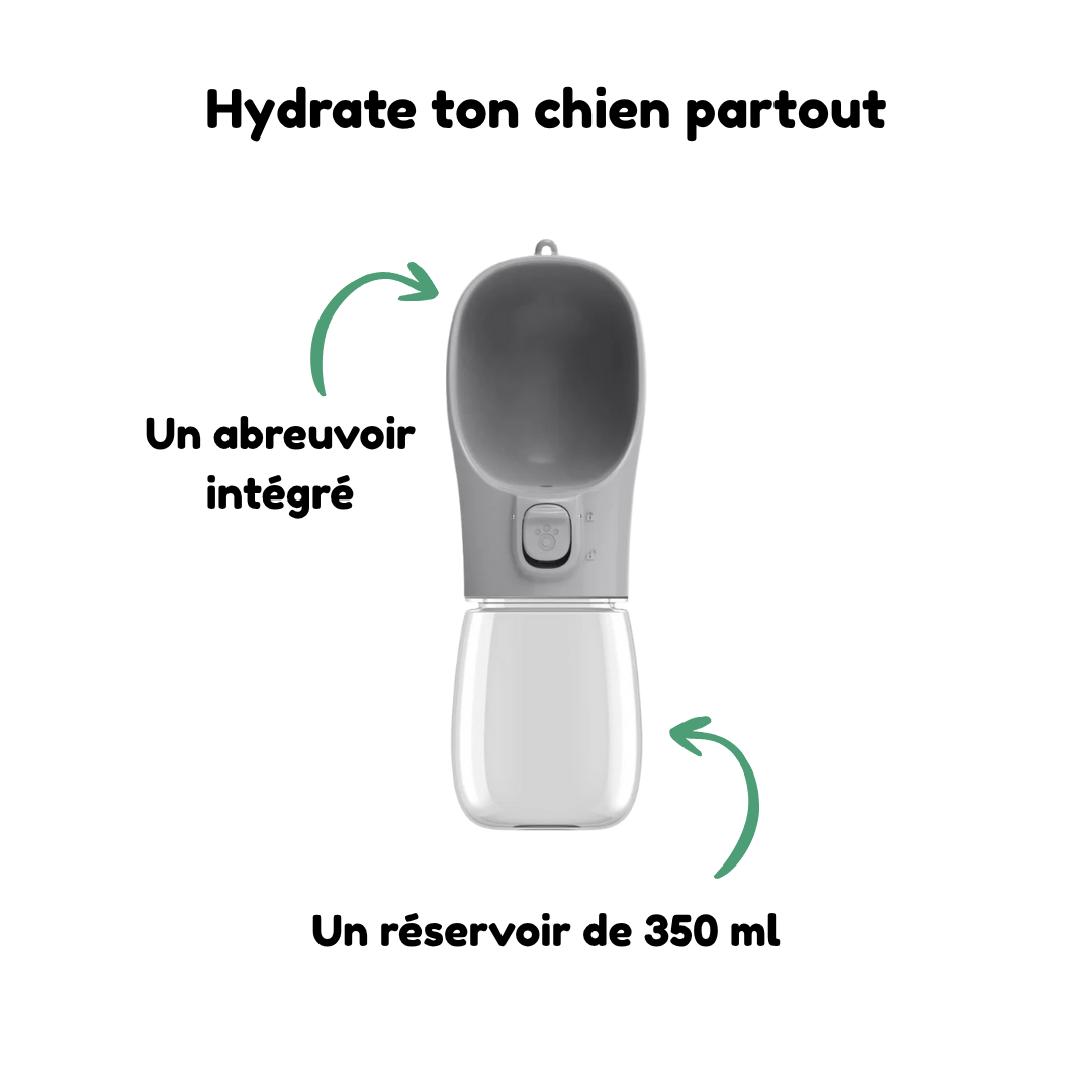 Gourde Portable pour Chien 350ml