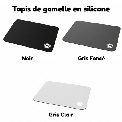 Pack Essentiel Caninou