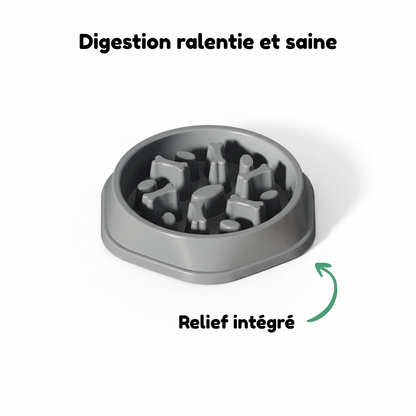 Gamelle Anti-Glouton pour Chien
