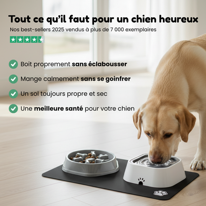 Pack Essentiel Caninou