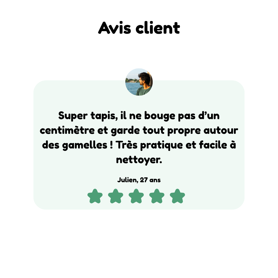 Tapis de Gamelle en Silicone