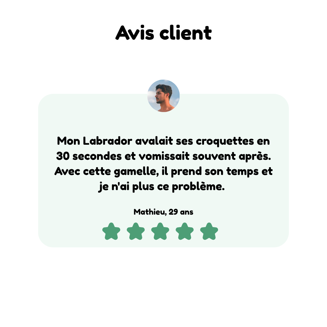 Gamelle Anti-Glouton pour Chien