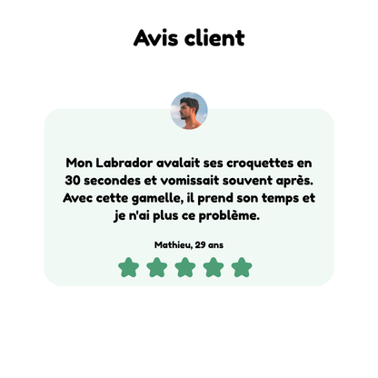 Gamelle Anti-Glouton pour Chien