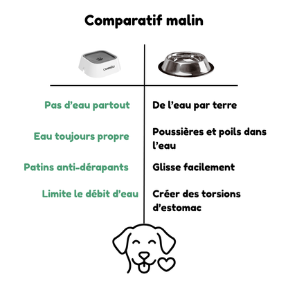 Gamelle d'eau anti-débordement pour chien