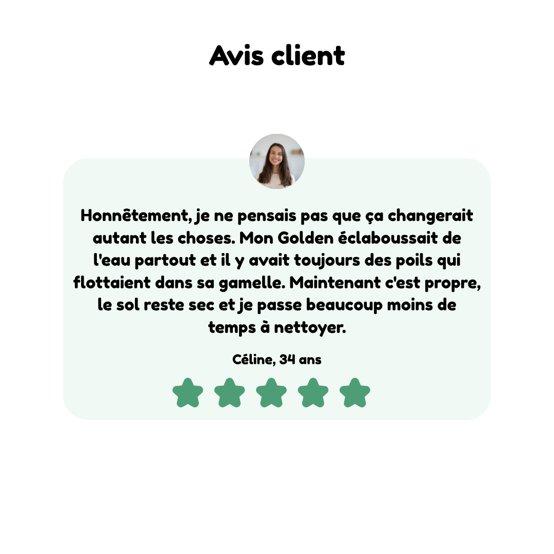 Gamelle d'eau anti-débordement pour chien