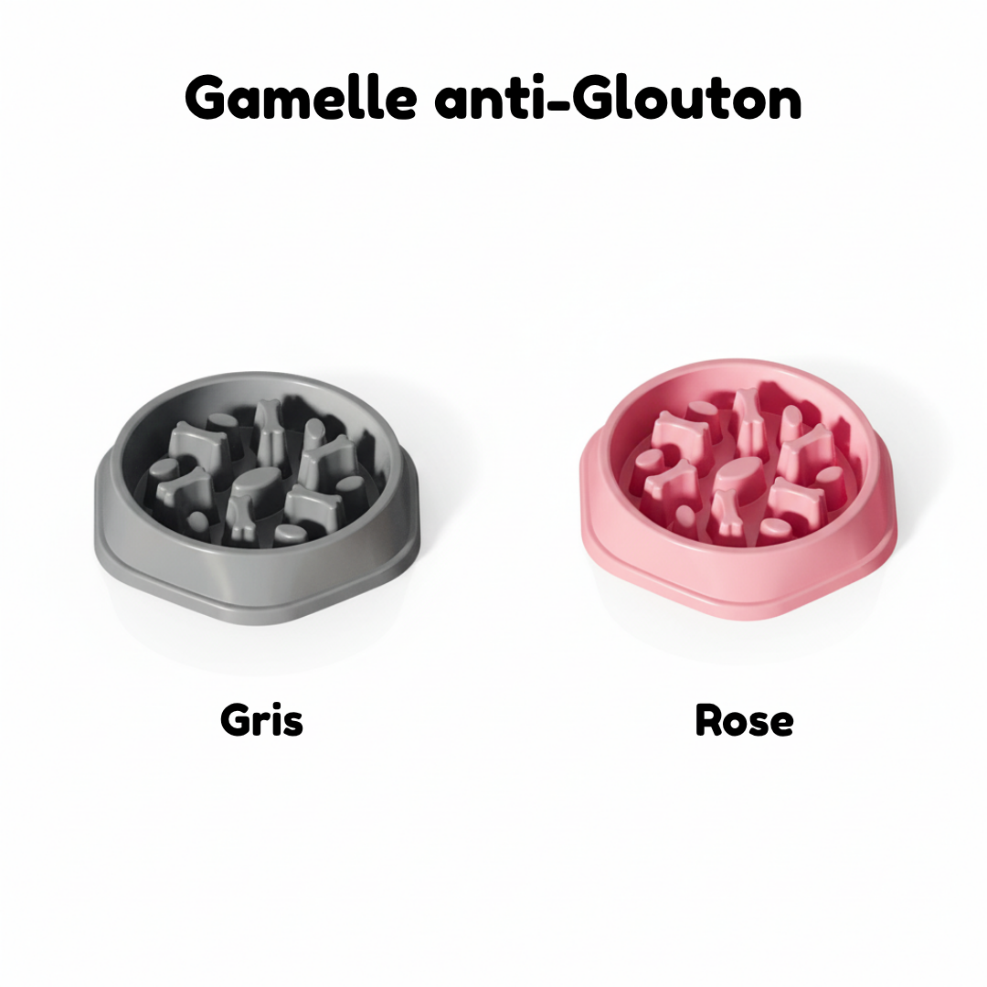 Pack Essentiel Caninou