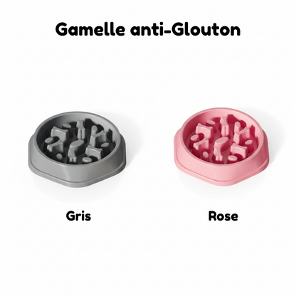 Pack Essentiel Caninou