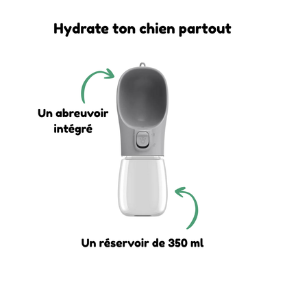 Gourde Portable pour Chien 350ml