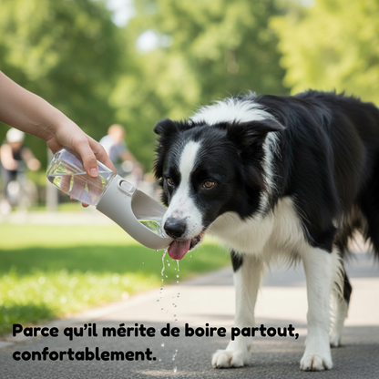 Pack Essentiel Caninou